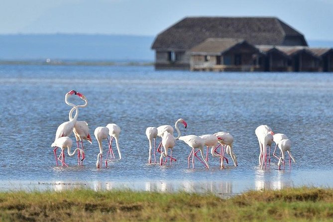 2 Days Amboseli Private Safari - Pickup Details