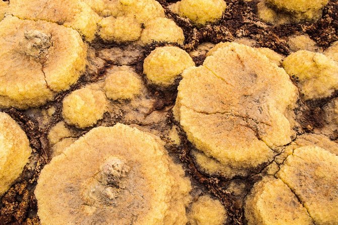 2 Days Dallol Trip - Inclusions and Exclusions