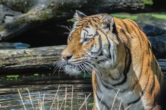 2 Days Explore to Tarangire Park, Ngorongoro and Lake Manyara (Comfort Plus) - Itinerary Overview