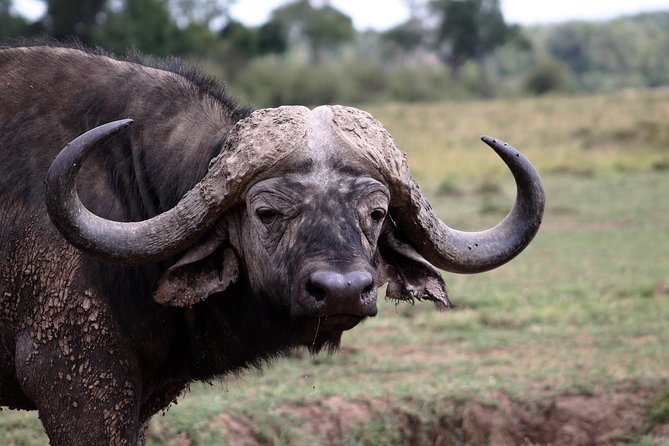 2 Days Masai Mara Safari - Tour Overview