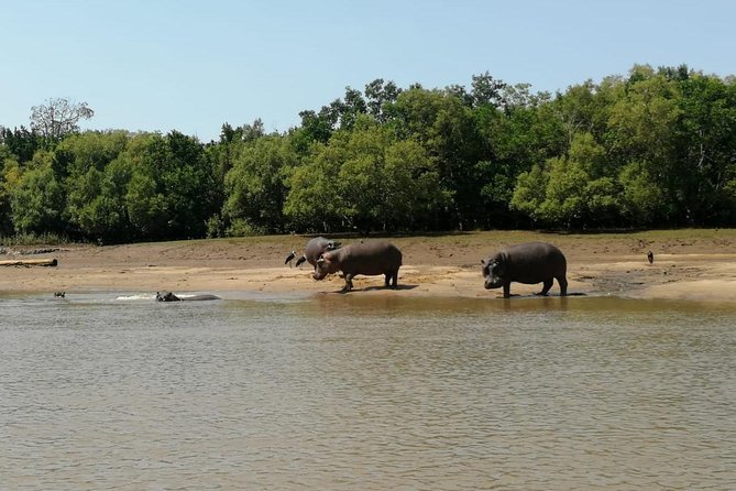 2 Days Saadani National Park From Zanzibar - Pickup Details