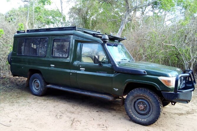 2 Days Tour From Zanzibar to Nyerere National Park (Selous GR) - Accommodation and Meals