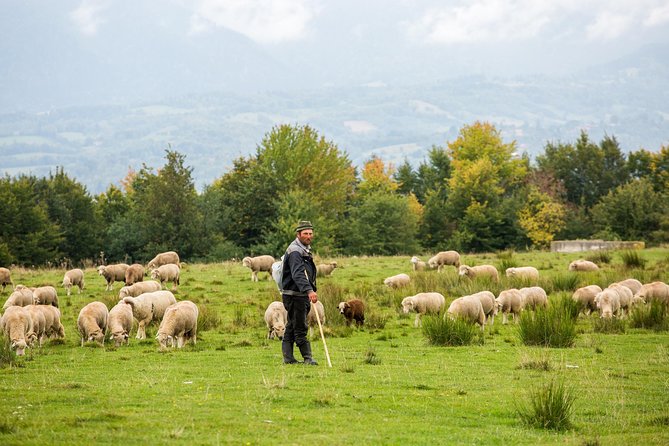 2 Days Tour in Transylvania From Bucharest - Itinerary Details