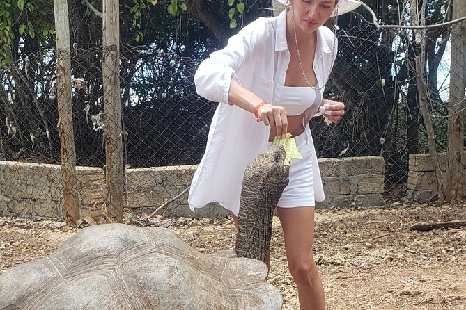 2 Days Tour In Zanzibar - Important Notes