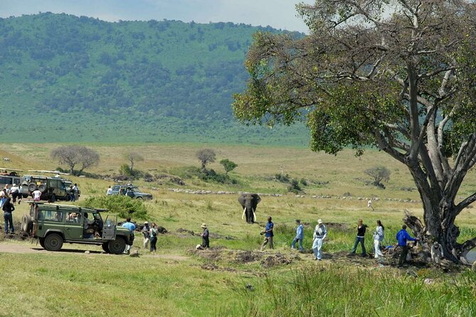 2 Days Tour Tarangire & Ngorongoro - Itinerary Overview