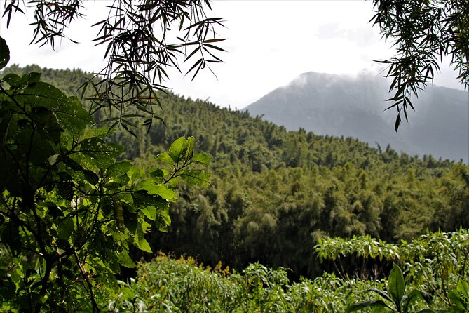 2 Days Uganda Gorilla Trekking - Accommodation Information