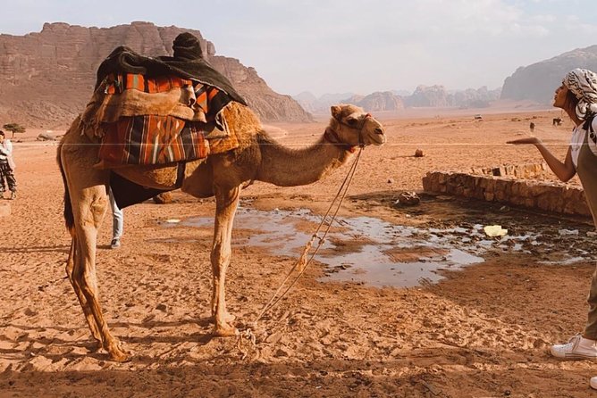 2 Hour Jeep Tour - Wadi Rum Desert & Canyon - Start Time & Maximum Travelers