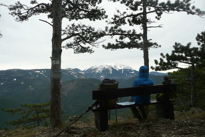 2 Hour Private Alpine Hiking, Gosing Mountain Vienna Tour - Tour Expectations