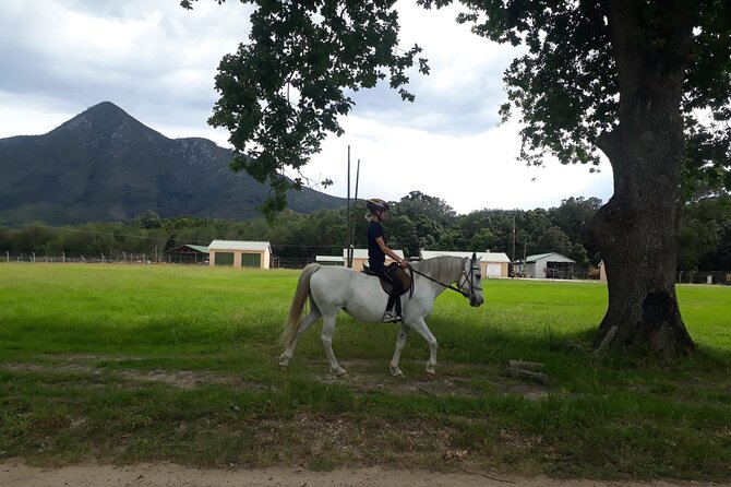 2 Hour Storms River Horse Trails Activity - Inclusions and Accessibility