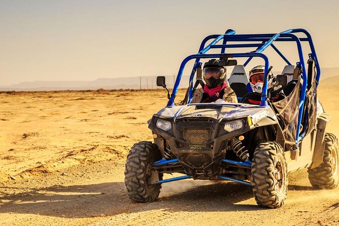 2 Hours Buggy in Palmeraie Marrakech - Customer Reviews