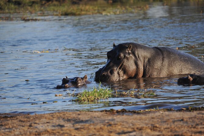 2 Nights 3 Days Overnight Mokoro Trail Okavango Delta - Inclusions
