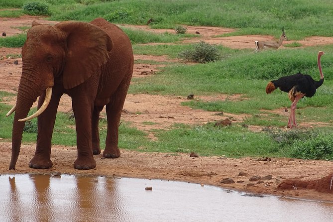 2 Nights Tsavo West Ngulia Safari Lodge and Tsavo East Voi Safari Lodge - Location Information