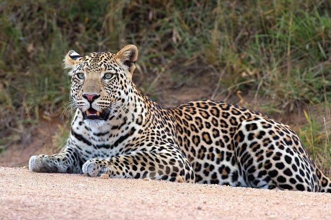 20 Days Combined East African Adventure Safari - Pricing and Booking Information