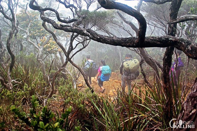 2d1n Mount Kinabalu Via Ferrata - Walk The Torq - Inclusions