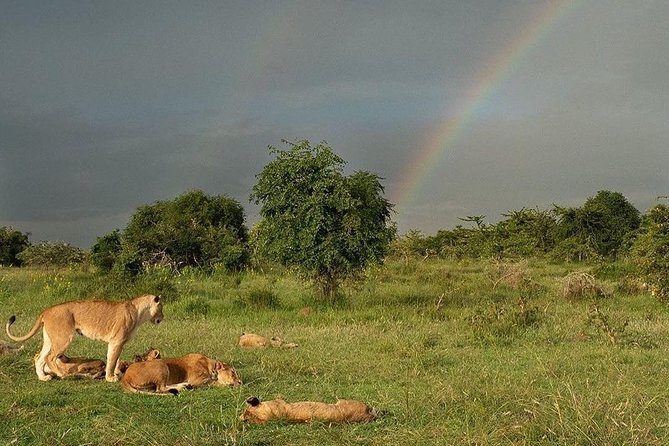 3-Day Akagera National Park Tour