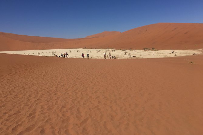 3 Day Camping Safari at Sossusvlei - Safari Adventure