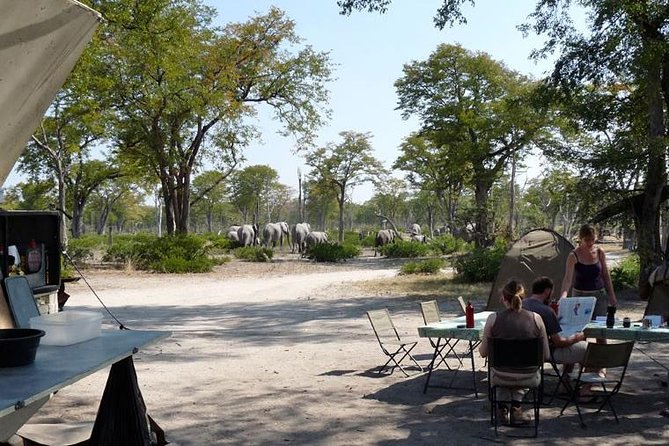 3 Day Chobe National Park Camping Safari - Pricing and Customer Reviews