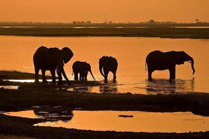 3 Day Chobe National Park Camping Tour