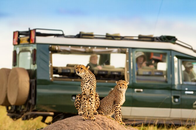 3-Day Fly in Private Safari in Serengeti and Ngorongoro - Safari Activities