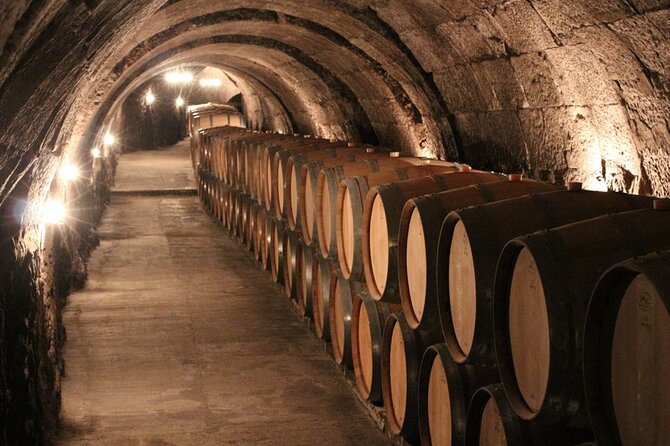 3 Day Guided Tailor Made Wine Tour in Rioja and Ribera Del Duero - Itinerary Details