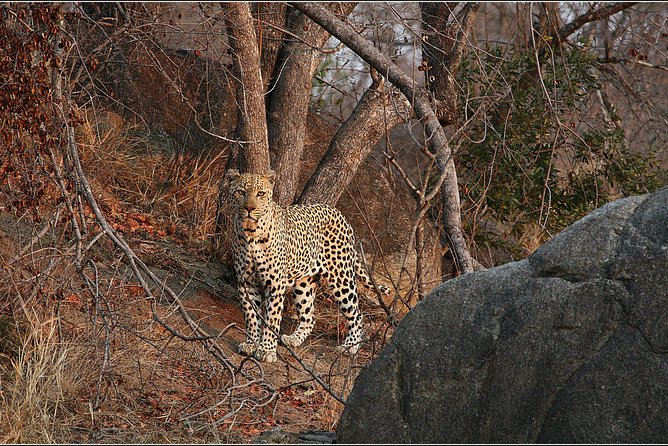 3 Day Kruger National Park and Crocodile River Safari - Booking and Cancellation Policy