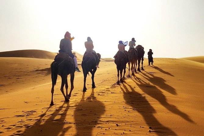 3 Day Luxury Desert Tour From Marrakesh Morocco - Customer Reviews and Ratings