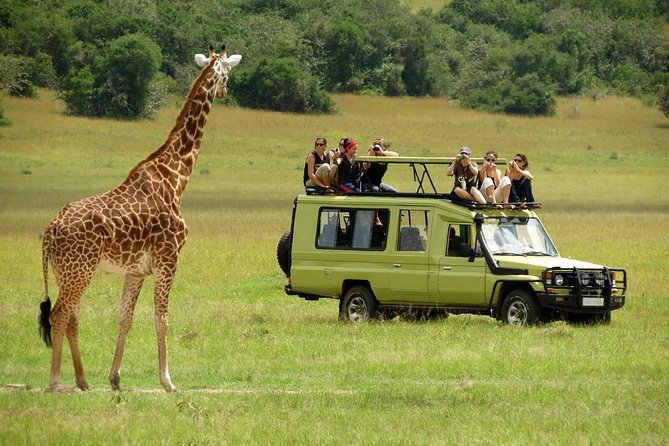 3-Day Masai Mara Luxury Safari on 4x4 Land Cruiser - Accommodations and Meals