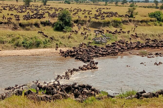3 Day Private 4x4 Jeep Tour in Masai Mara Safari - Inclusions and Exclusions