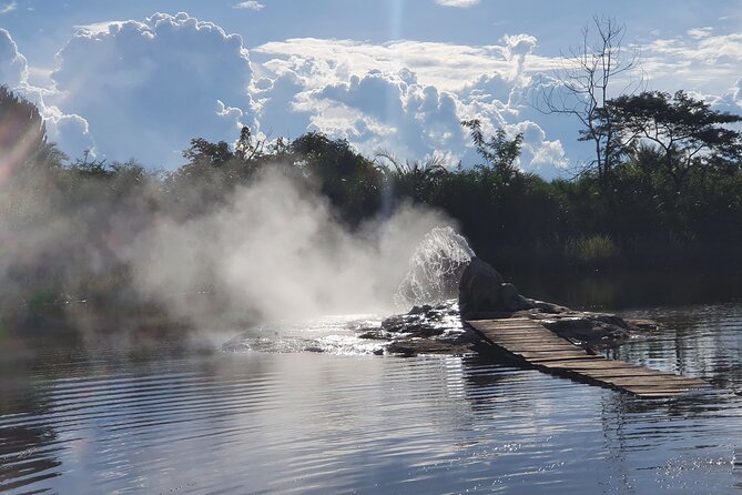 3-Day Private Chimpanzee Trekking Safari in Kibale Forest - What To Expect