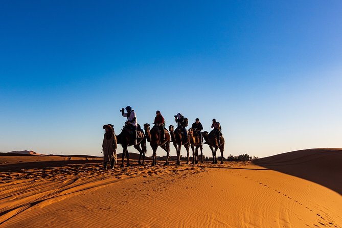 3-Day Private Tour From Marrakech to Erg Chebbi Desert - Tour Highlights