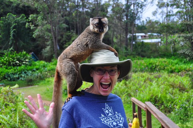 3-Day Private Tour to Andasibe National Park - Wildlife Encounters
