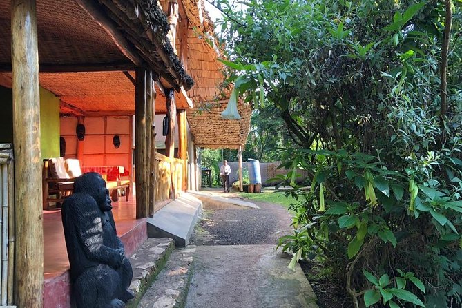 3 Day Safari With Gorilla Tracking in Bwindi NP - What to Expect