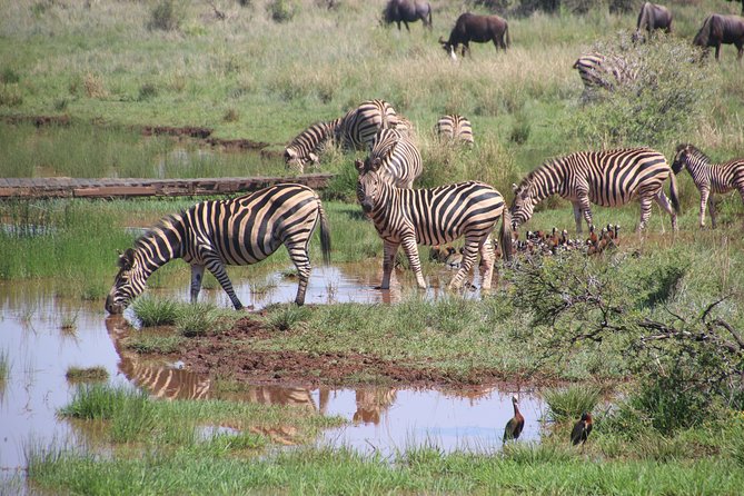 3-Day Tour to Queen Elizabeth National Park