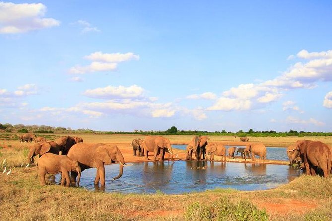 3-Day Tsavo East Safari From Mombasa - Pickup and Drop-off Information