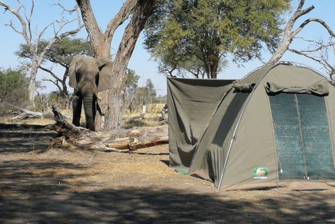 3 Day Wilderness Trail: Moremi, Khwai & East Okavango Delta - WildCamping Safari - Itinerary Details