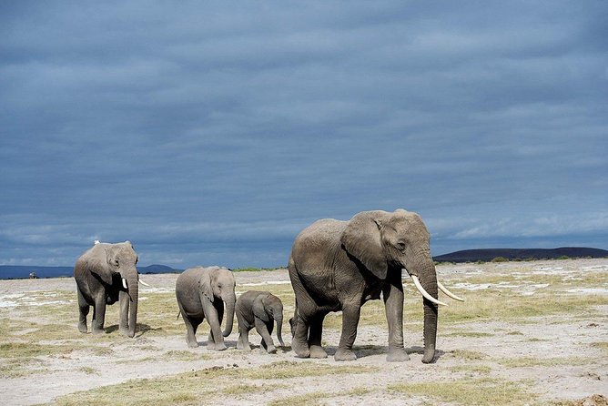 3 Days 2 Nights Amboseli National Park Mid Range Tour - Tour Itinerary