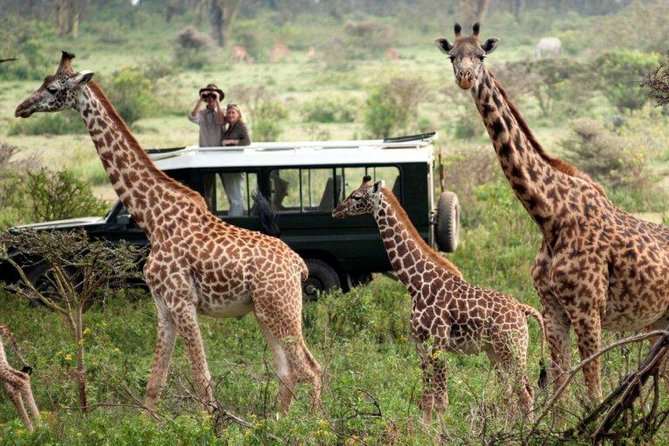 3 Days, 2 Nights Masai Mara Group Joining Safari - Booking Information & Pricing