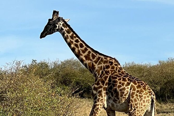 3 Days, 2 Nights Masai Mara Road Package - Package Inclusions and Exclusions