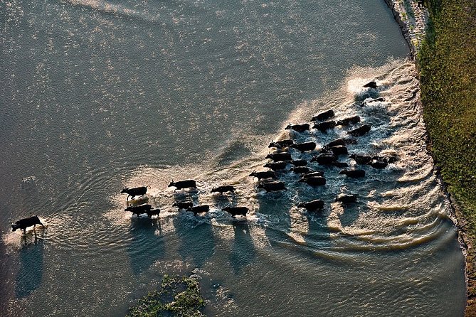 3 Days 2 Nights Nyerere National Park Lodge Wildlife Safari - Wildlife Safari Experience