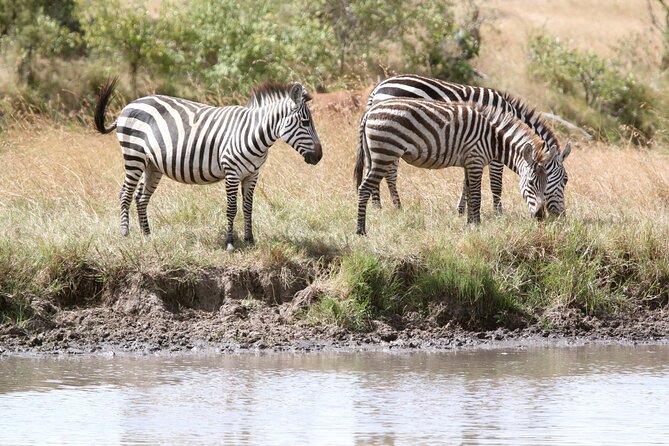 3 Days Amboseli National Park Experience. - Accommodation Details