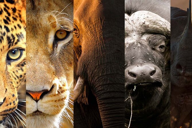 3 Days Big Five Camping Safari - Accommodation and Amenities