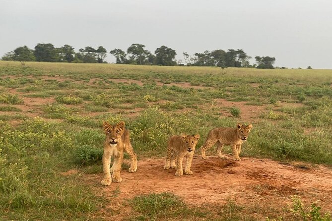 3 Days Kidepo Valley Safari-Uganda