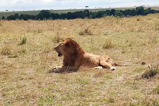 3 Days Maasai Mara Safari From Nairobi - Booking Process Guide