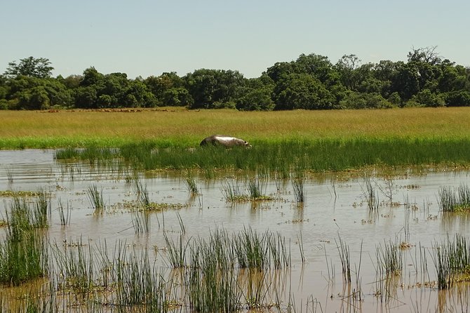 3 Days Masai Mara Safari - Accommodation and Meals Included