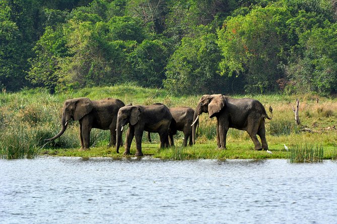 3 Days Murchison Falls Wildlife Safari