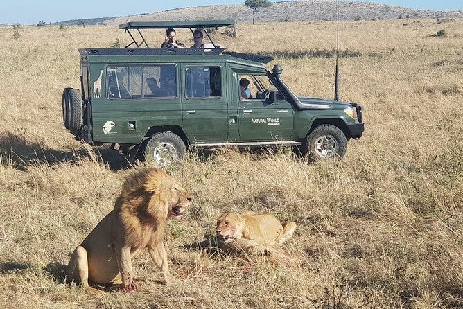 3 Days Private Masai Mara Safari Adventure By 4×4 Jeep - Safari Accommodations and Meals