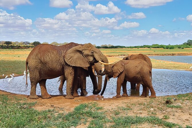 3 Days Private Safari Tsavo East and West Tour