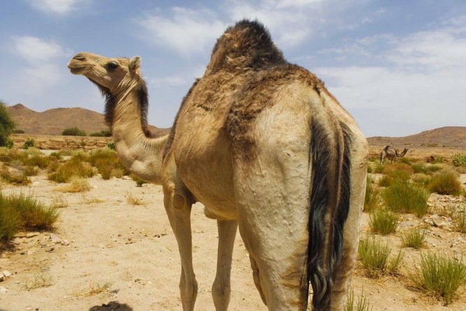 3 Days Private Tour in Tamanrasset
