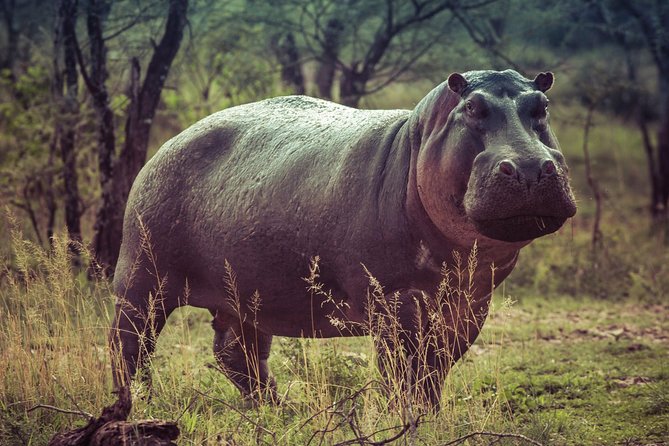 3 Days Queen Elizabeth Nat Park Tour - Inclusions and Exclusions