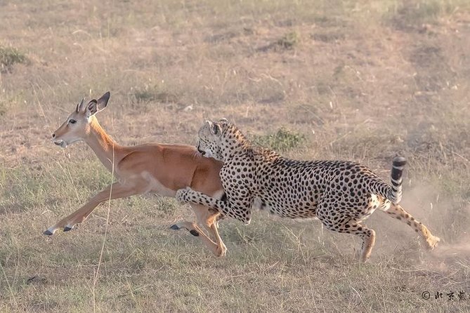 3 Days Safari in Amboseli National Park - Safari Itinerary